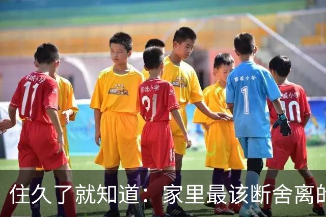 住久了就知道：家里最该断舍离的是这10样东西，房子越住越顺心