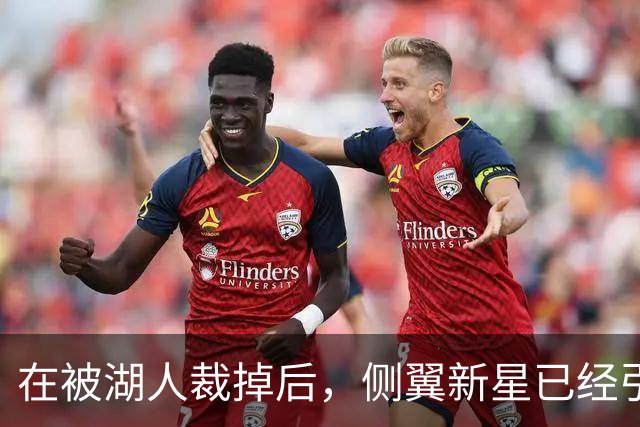 在被湖人裁掉后，侧翼新星已经引起了国王、森林狼和猛龙的关注？